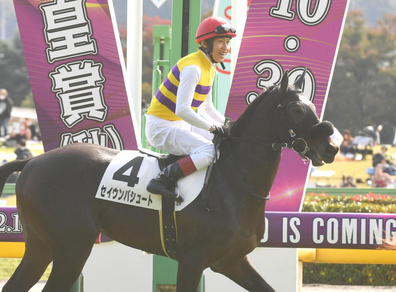 セイウンパシュートと田辺裕信騎手（2022年10月撮影）