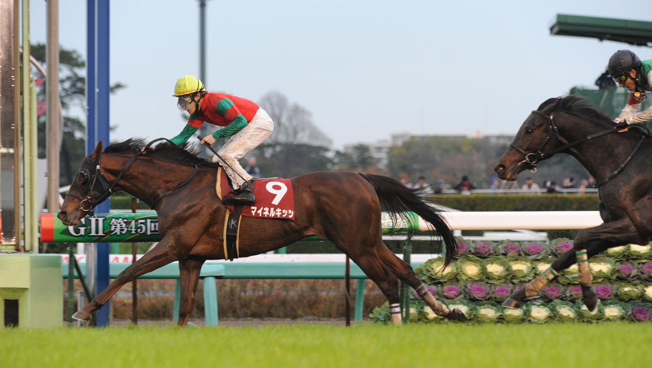 ステイヤーズSを制したマイネルキッツ（2011年12月3日撮影）