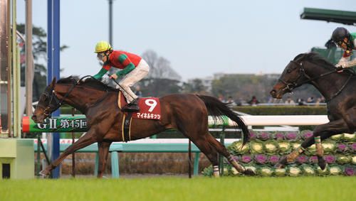 ステイヤーズSを制したマイネルキッツ(2011年12月3日撮影)