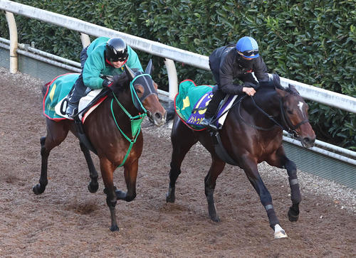 松若騎手を背に坂路をレッドバロッサ(左)と併せ馬で追い切るノットゥルノ(撮影・白石智彦)