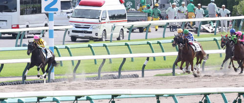 9月10日、中山6Rの3歳上1勝クラスを快勝したフラッパールック(左)