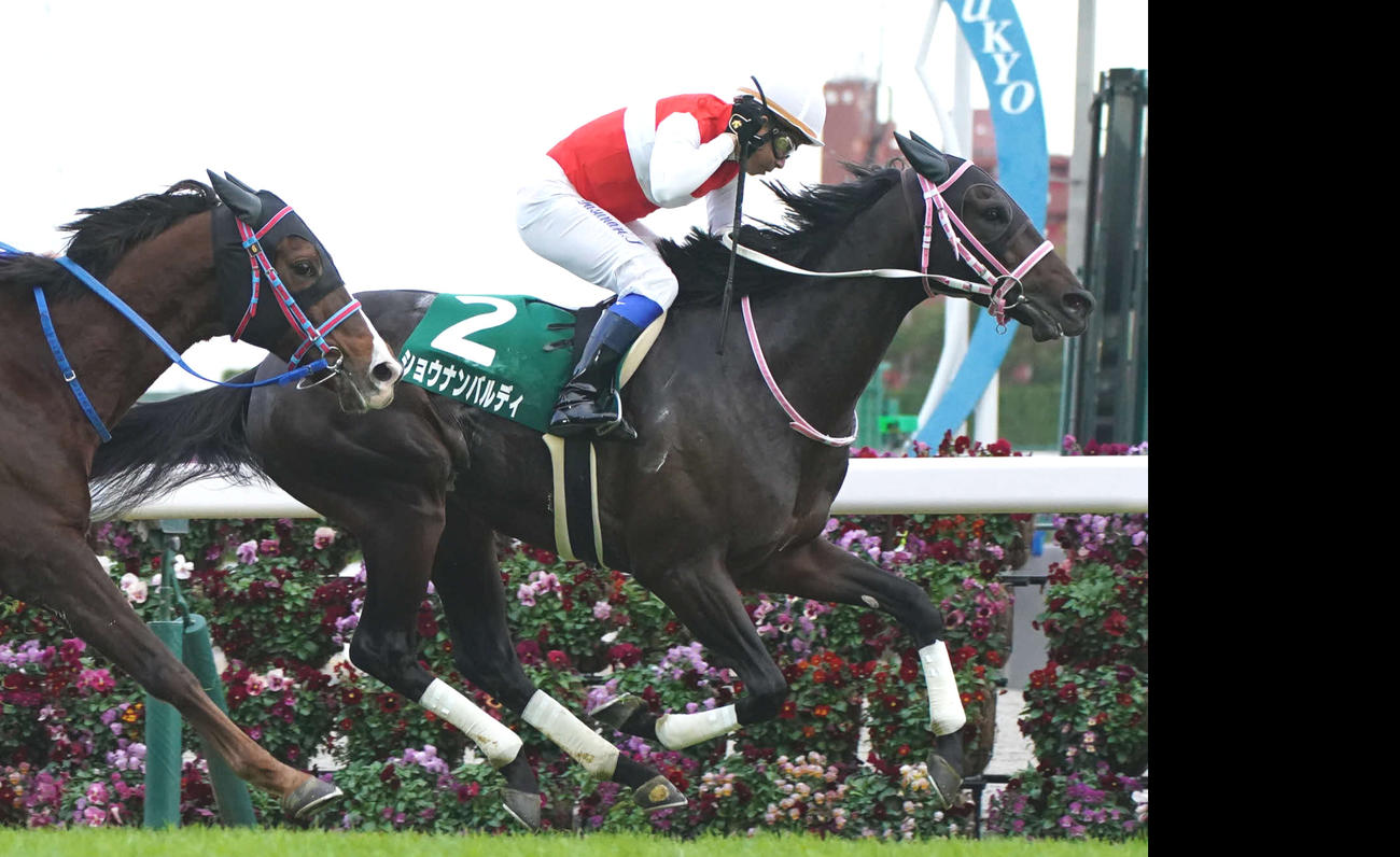 21年中日新聞杯を制したショウナンバルディ