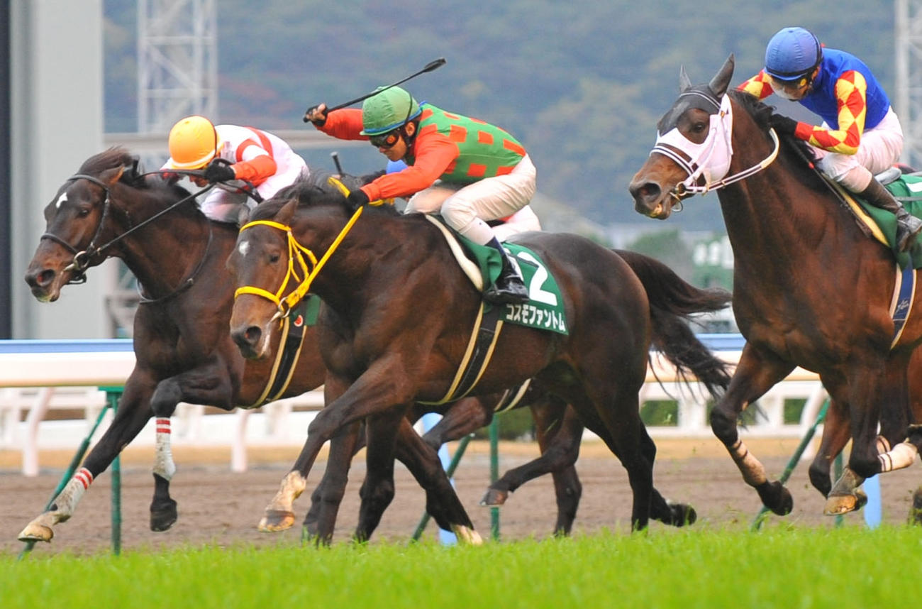 11年中日新聞杯を制したコスモファントム（中央）
