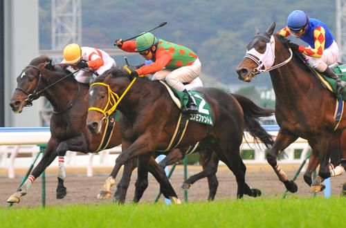 11年中日新聞杯を制したコスモファントム（中央）