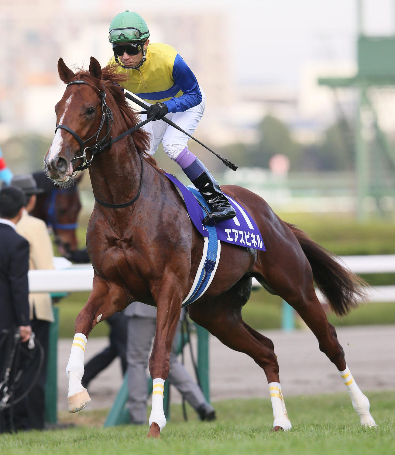 2015年12月20日、朝日杯FSでのエアスピネル
