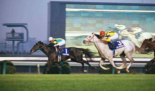 1994年12月1日、朝日杯3歳Sで2着スキーキャプテン