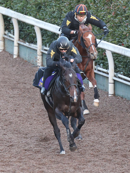 坂路を併せ馬で追い切るエンヤラヴフェイス(左)