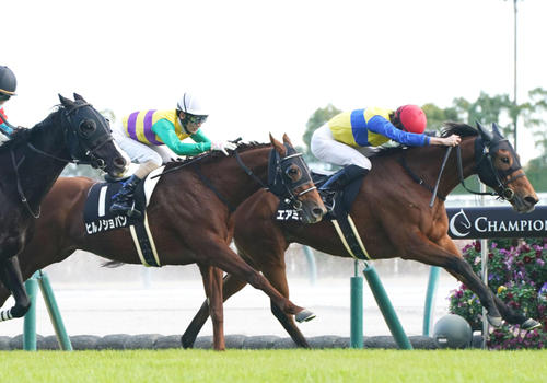 2日、中京日経賞3着のヒルノショパン（中央）