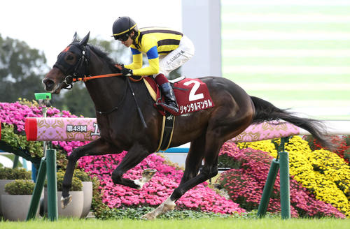 11月11日、デイリー杯2歳Sを快勝したジャンタルマンタル