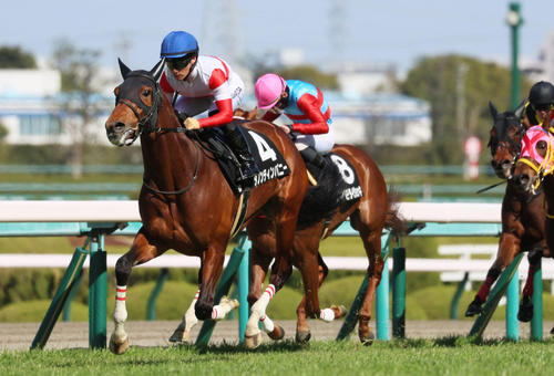 3月19日、山陽特別を制したダノンティンパニー(左)