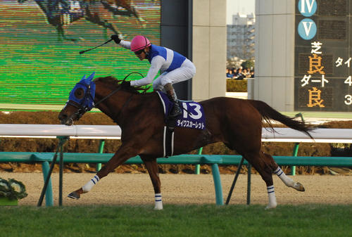 有馬記念を制したダイワスカーレット（2008年12月28日撮影）