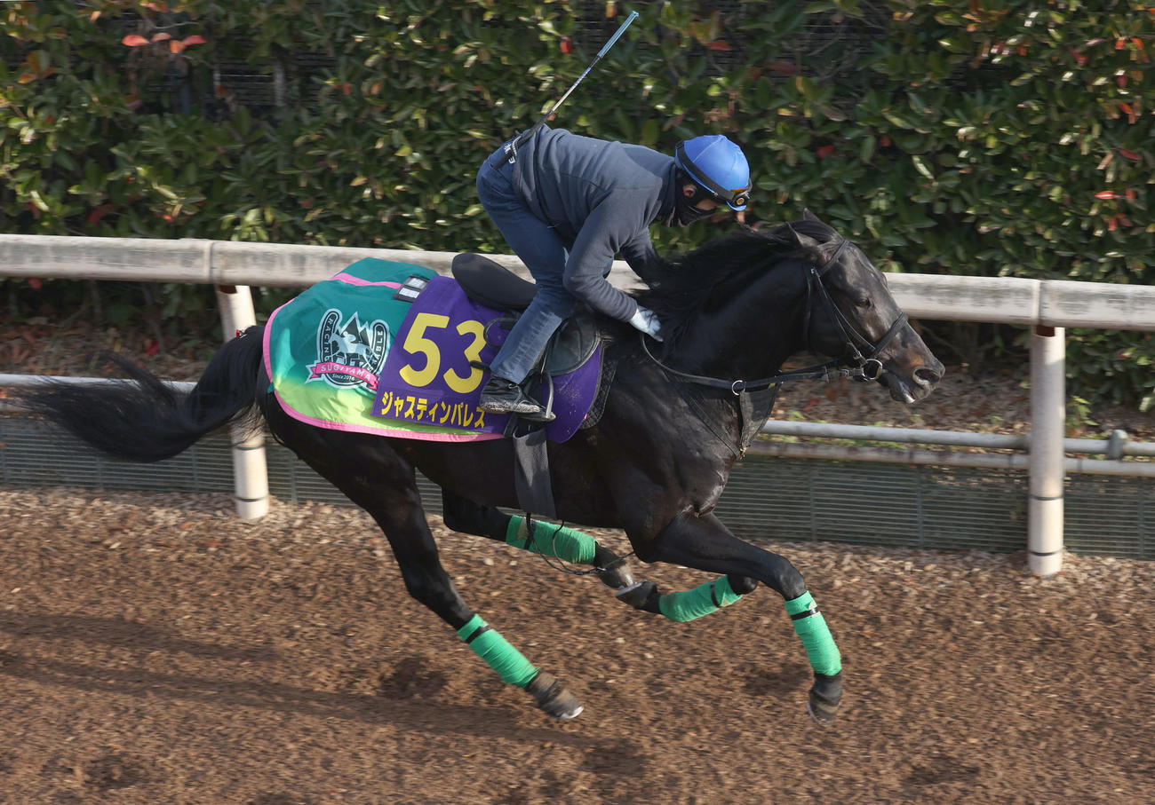 坂路で追い切るジャスティンパレス