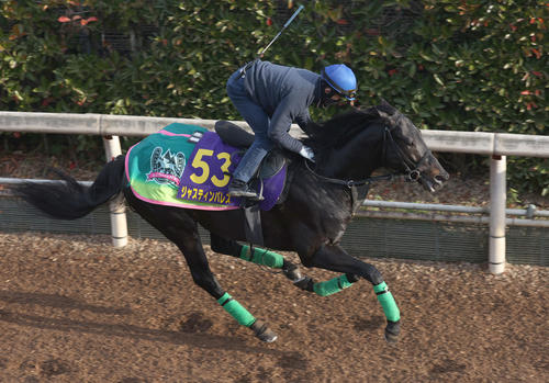 坂路で追い切るジャスティンパレス