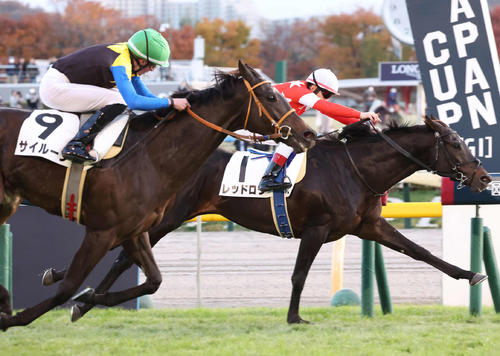11月25日、前走3歳上2勝クラスで2着のサイルーン（左）。右は勝ったレッドロワ