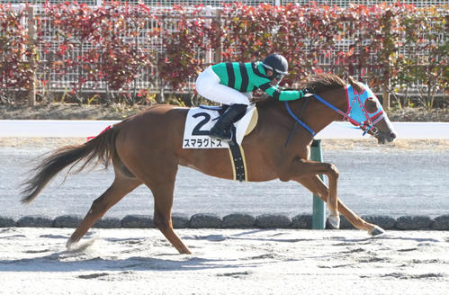 2日、中京5R3歳上1勝クラスを制したスマラグドス