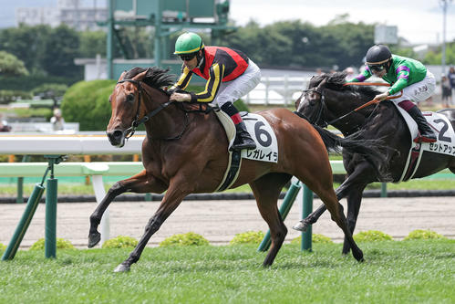 函館2歳新馬で勝利したレガレイラ(2023年7月9日撮影)