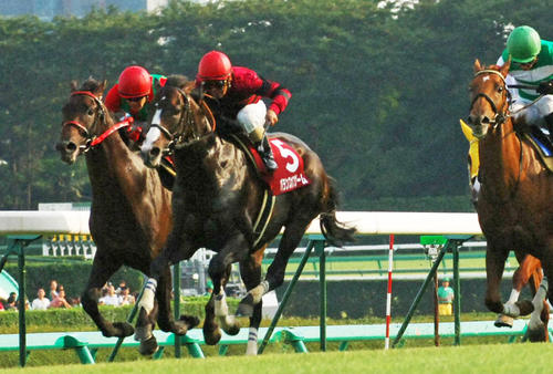 06年オールカマーを制したバランスオブゲーム(中)と田中勝騎手