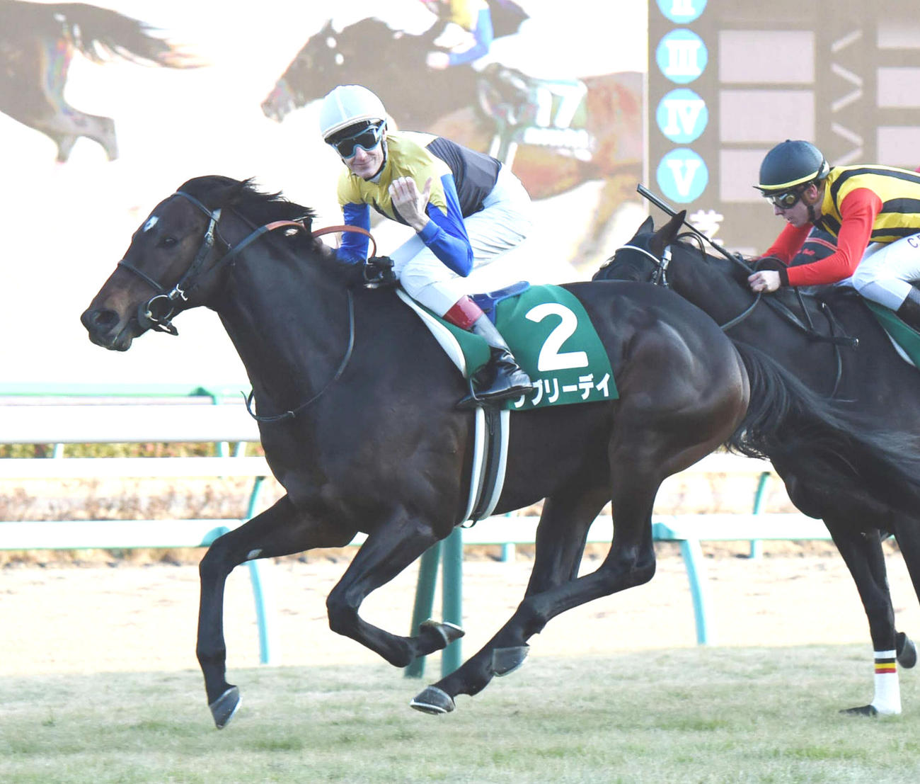 日刊スポーツ賞中山金杯を制したラブリーデイ（2015年1月4日撮影）