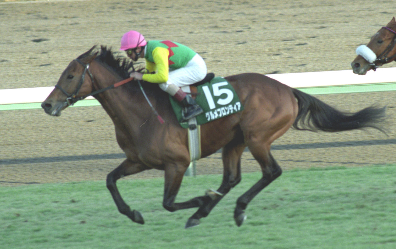 日刊スポーツ賞中山金杯を制したグルメフロンティア（1998年1月5日撮影）