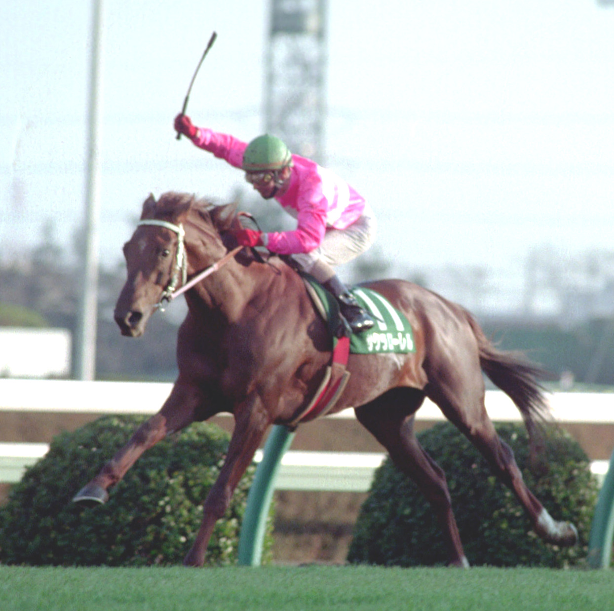 日刊スポーツ賞中山金杯を制したサクラローレル（1995年1月5日撮影）