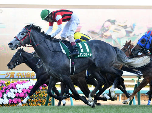 日刊スポーツ賞中山金杯を制したウインブライト(2019年1月5日撮影)