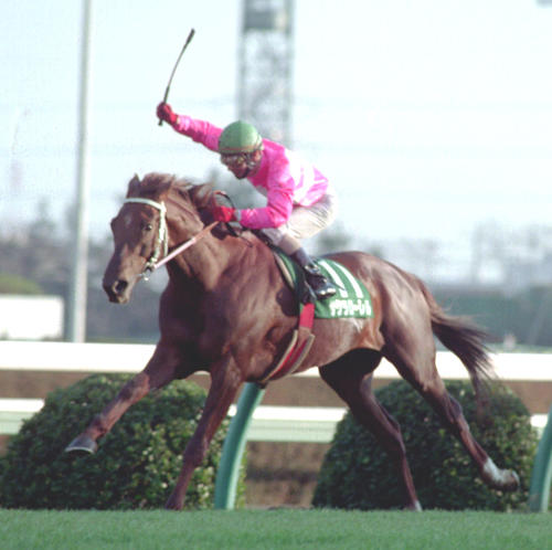 日刊スポーツ賞中山金杯を制したサクラローレル(1995年1月5日撮影)