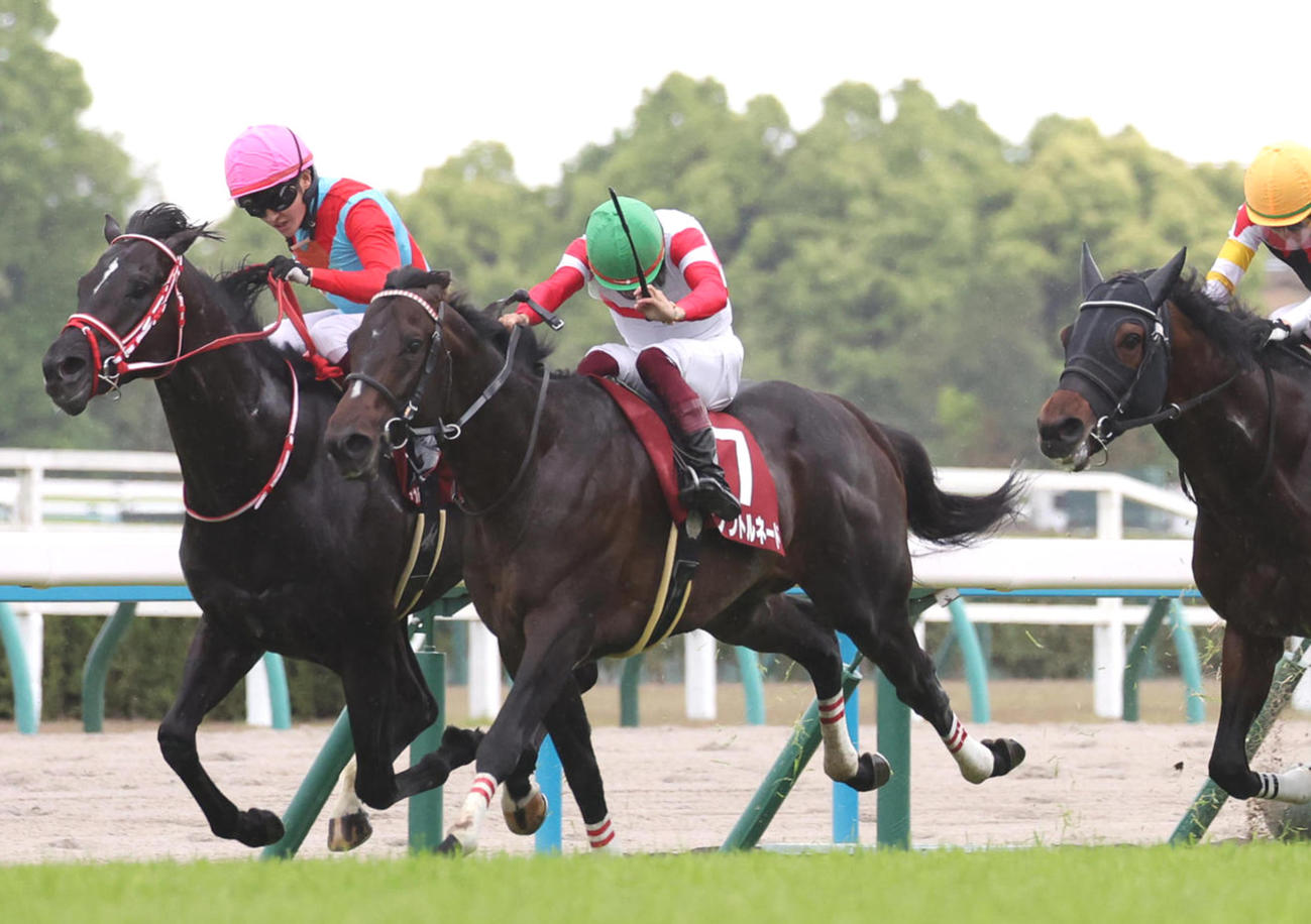 昨年京都新聞杯で2着に入ったダノントルネード（中央）