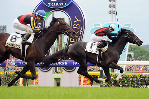 10年5月、日本ダービーで優勝したエイシンフラッシュと内田博幸騎手。左は2着のローズキングダム