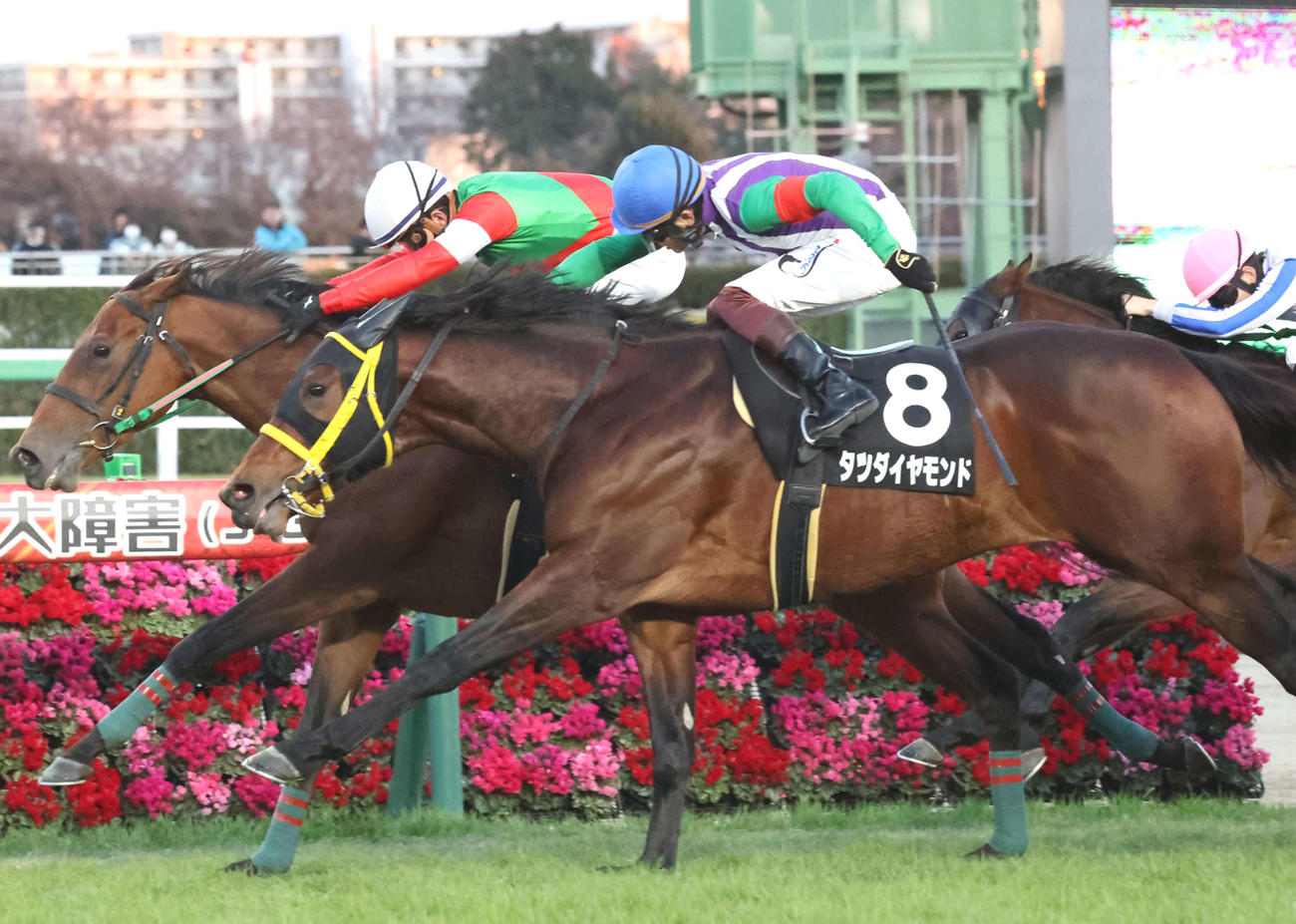 23年12月、キャンドルライト賞で2着のタツダイヤモンド（手前）