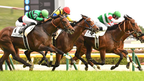 23年ダービー3着のハーツコンチェルト（左）、右は勝ったタスティエーラ