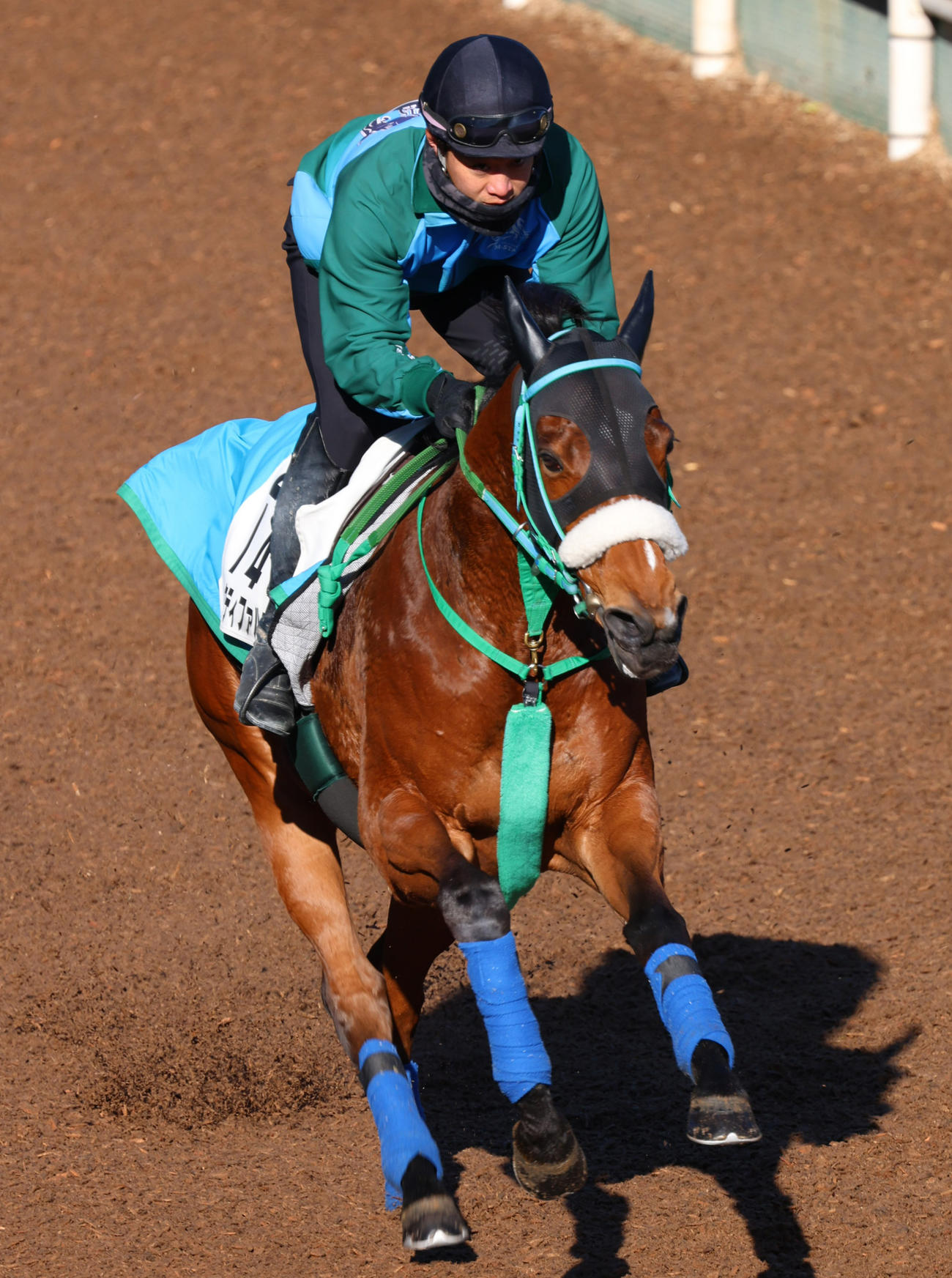 坂路を駆け上がるヴィクティファルス