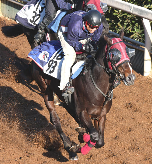 坂路の併せ馬で先着するペプチドナイル