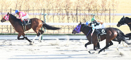蹴上特別2着のシンヨモギネス（右）。左は勝ったサンデーファンデー