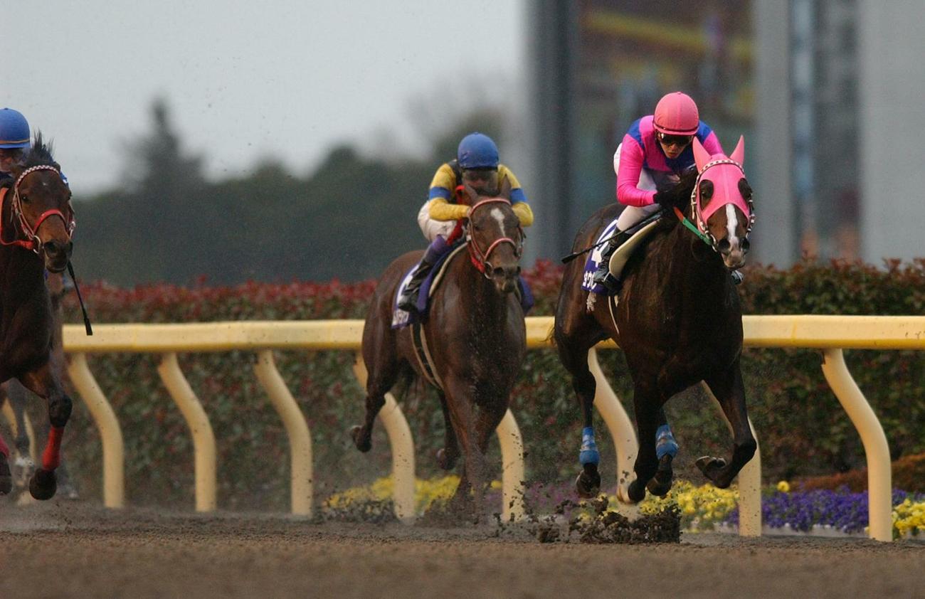 フェブラリーSを逃げ切り勝ちしたメイショウボーラー(右)（2005年2月20日撮影）