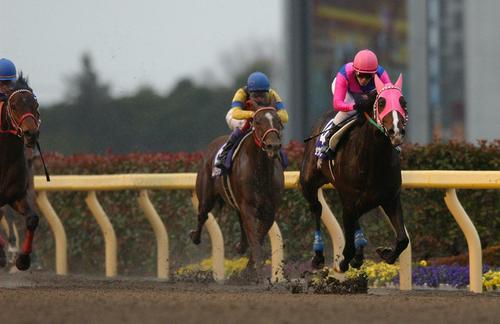 フェブラリーSを逃げ切り勝ちしたメイショウボーラー(右)(2005年2月20日撮影)