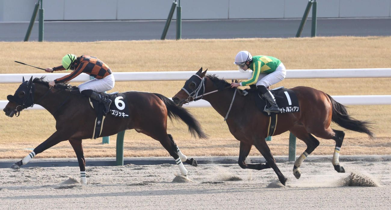 6日、門松S2着に入ったサトノルフィアン（右）。左は勝ったモズリッキー