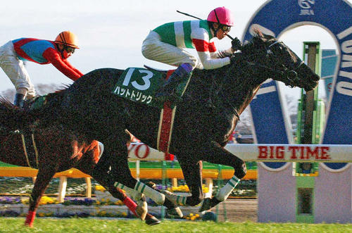 05年東京新聞杯を制したハットトリック
