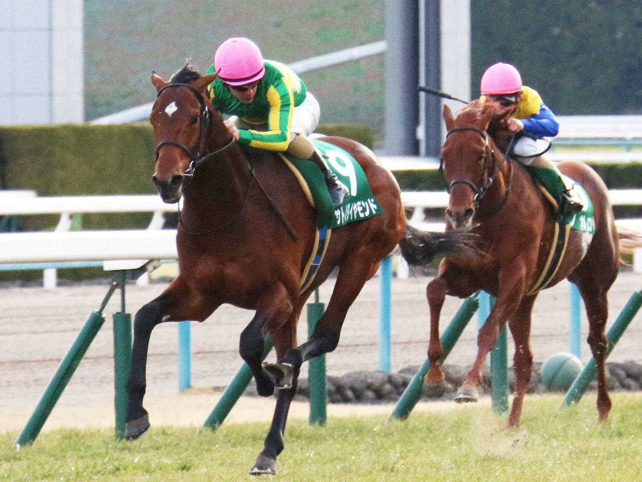 16年きさらぎ賞を制したサトノダイヤモンドとルメール騎手