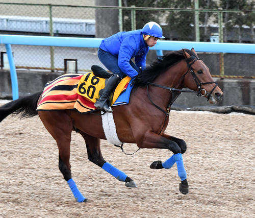岩田康騎手を背にホウオウビケッツはウッドチップで追い切る(撮影・柴田隆二)