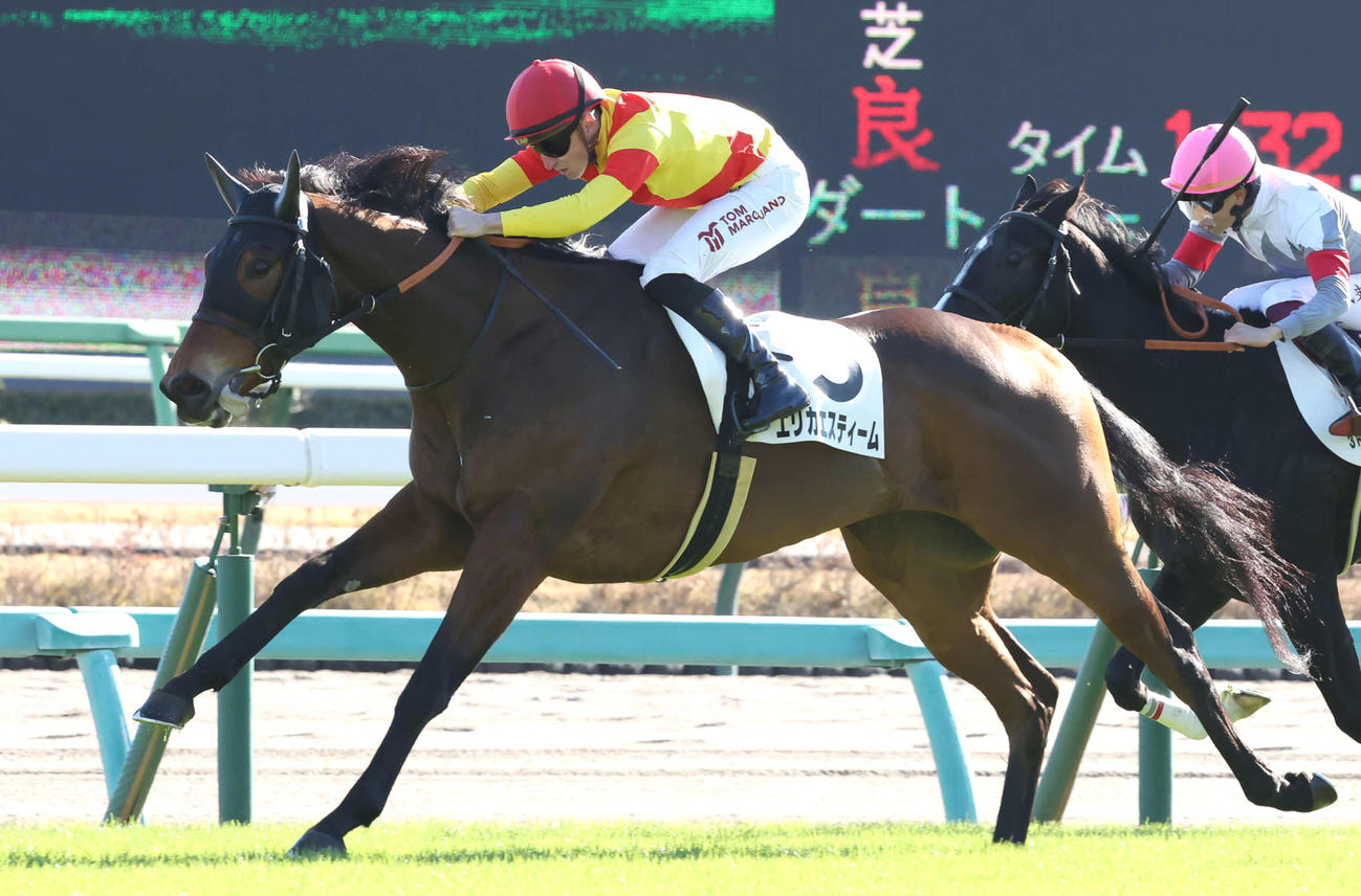 23年12月2日、中山3Rの2歳未勝利戦を制したエリカエスティームとマーカンド騎手