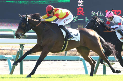 23年12月2日、中山3Rの2歳未勝利戦を制したエリカエスティームとマーカンド騎手