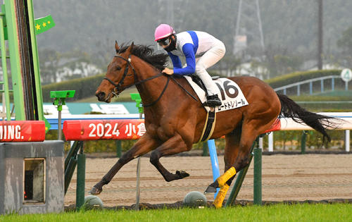 1月20日、小倉2Rの3歳未勝利を制したロードトレゾール