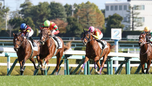 23年12月、新馬戦を制したビザンチンドリーム(左から2頭目)