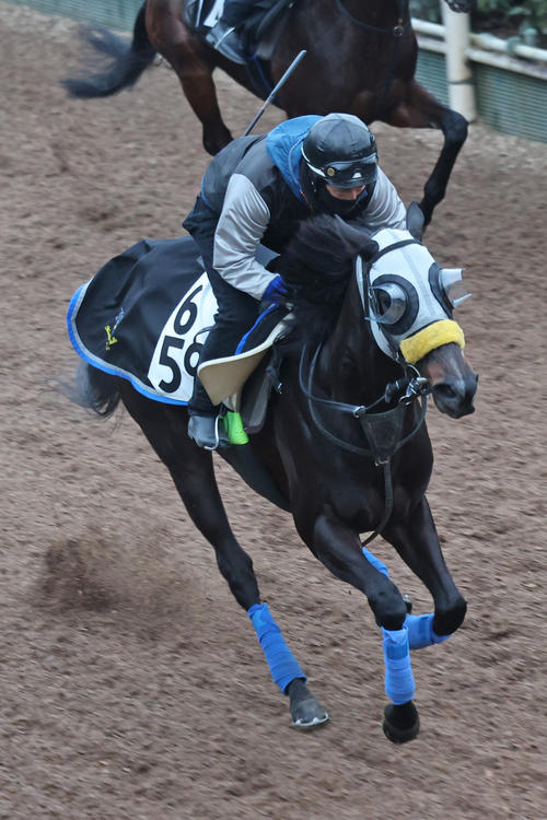 コナコースト(2024年1月31日撮影)