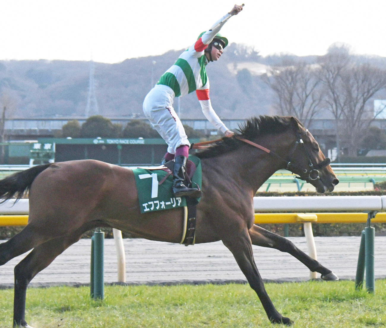 21年共同通信杯を制したエフフォーリアと横山武史騎手