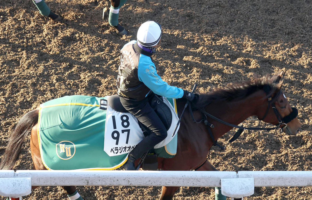7日、横山和騎手を背に逍遥馬道で運動するベラジオオペラ