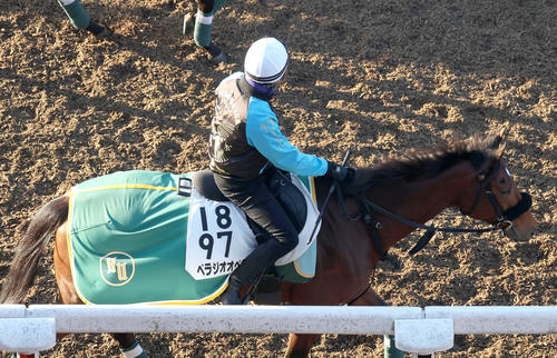 7日、横山和騎手を背に逍遥馬道で運動するベラジオオペラ