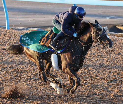 7日、フォスターボンドは美浦ウッドを併せ馬で追い切られた