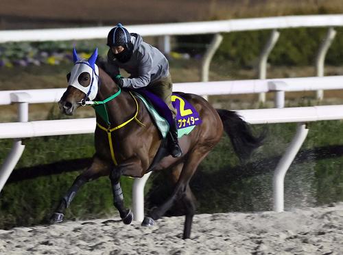 園田競馬場で軽快に追い切るイグナイター(撮影・上田博志)