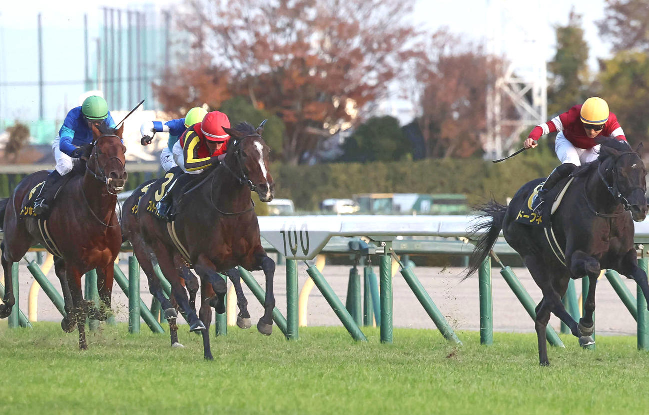 23年キャピタルS2着のプレサージュリフト（右から2頭目）。右は勝ったドーブネ